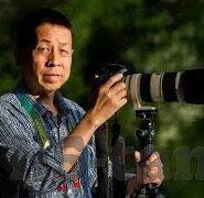 91麻豆文化传媒有限公司-解读91麻豆文化传媒有限公司，数字背后的文化与创意力量