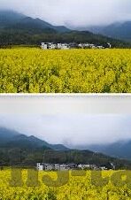 91社区一区二区-91社区，一区二区的网络文化与影响