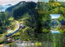 伦理手机在线观看-伦理与手机在线观看，数字时代的道德边界