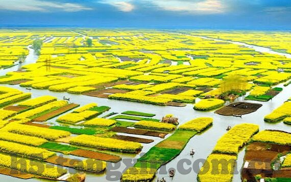 麻豆视频传媒app下载-麻豆视频传媒APP，开创娱乐新体验的数字平台