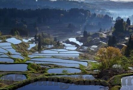 欧美伦理剧免费观看-欧美伦理剧，免费观影的多元视角与文化探索