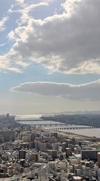 糖心app免登录下载-小心假冒应用，探究糖心app免登录下载背后的真相与安全性